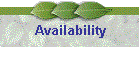 Availability
